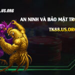 An-ninh-và-bảo-mật-trong-Đá-Gà-88