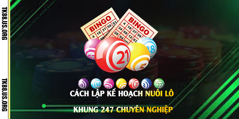 Cách-Lập-Kế-Hoạch-Nuôi-Lô-Khung-247-Chuyên-Nghiệp