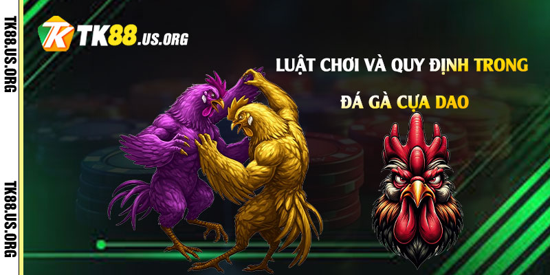 Luật chơi và quy định trong Đá Gà Cựa Dao