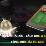 Soi-Cầu-Tài-Xỉu-Cách-Đọc-Vị-Tài-Xỉu---Công-Thức-Tài-Xỉu-Md5