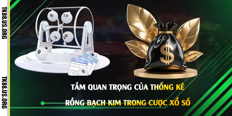 Tầm-Quan-Trọng-của-Thống-Kê-Rồng-Bạch-Kim-trong-Cược-Xổ-Số